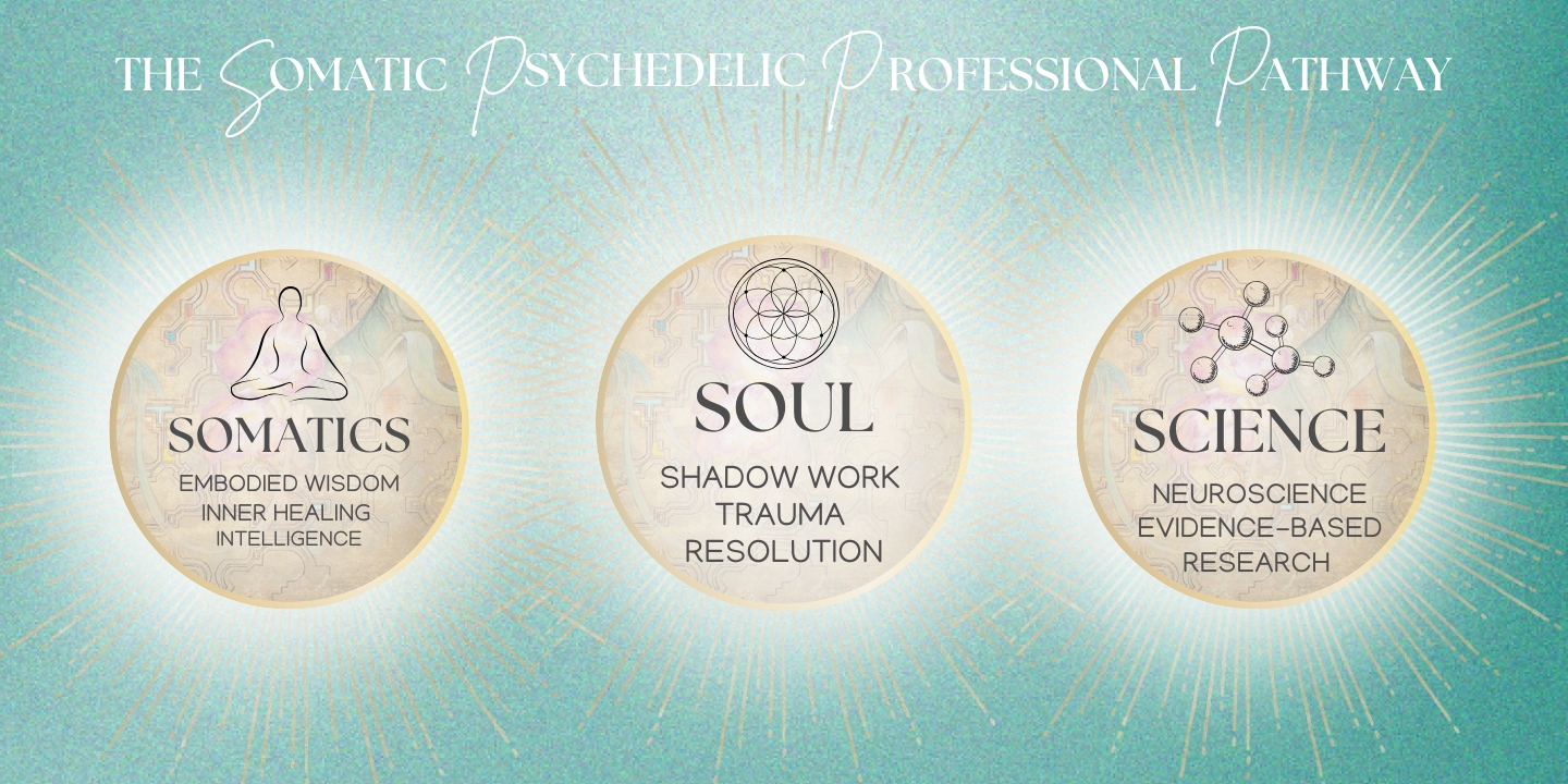 Somatic Psychedelic Professional Pathway