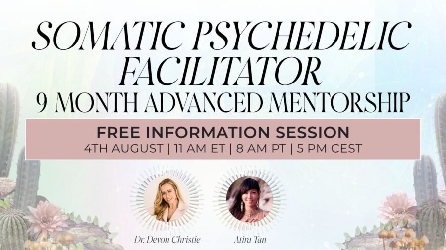 SPF 9-Month Mentorship Info Session Banner